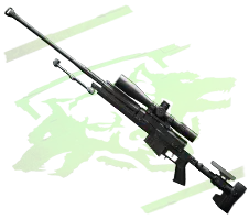 Sniper Rifles