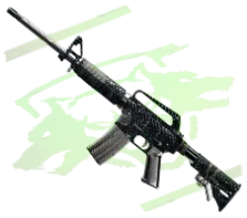 BO6 Catalyst - Warzone Camo