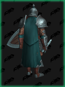 expedition knight back