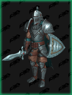 expedition knight front