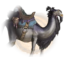 Grey Riding Camel