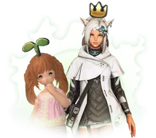 FFXIV Coaching Service