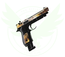 The Division 2 Mosquito