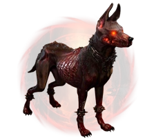 Diablo 4 Dante Pet
