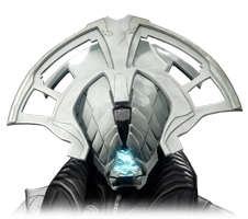 Destiny 2 Desert Perpetual Raid Armor