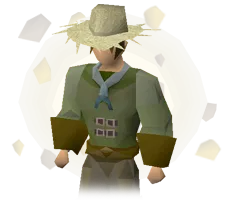 Buy OSRS Farmer's Outfit Boosting Service