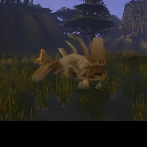 Order Excavation Site dungeon runs for WoW Forever