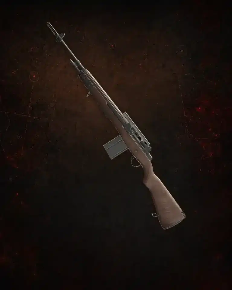Lichtenberg Classic M1A rifle from The Division 2, with a wooden stock and metal receiver boosting service